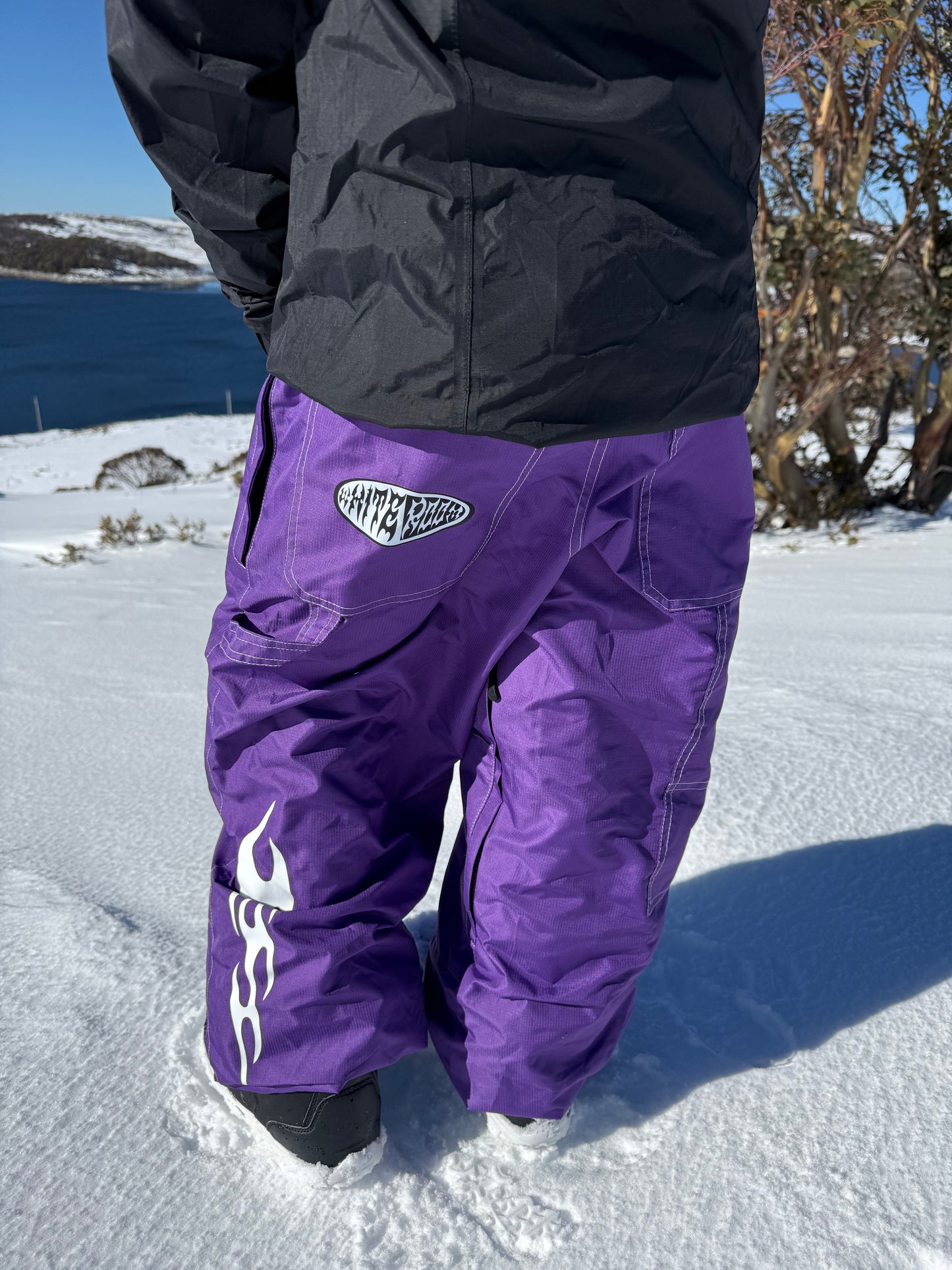 Whiteroom Tribal Carpenter Snow Pants Purple
