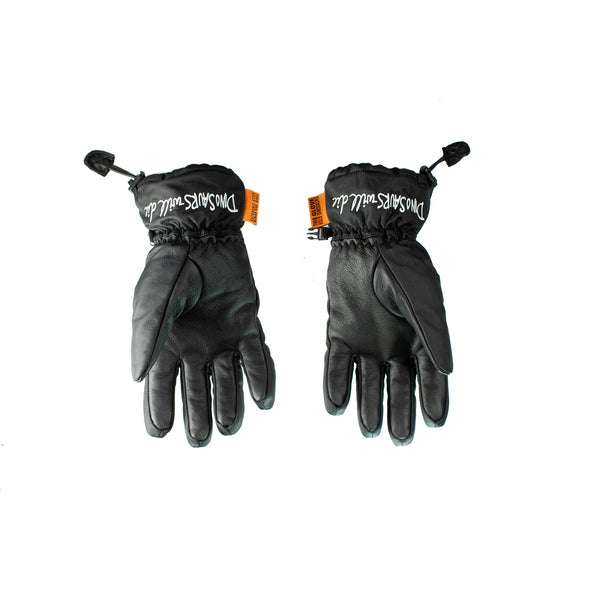 Salmon Arms Glove DWD