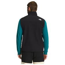 The North Face Mens Denali Vest Black