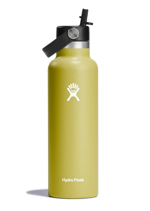 Hydroflask 21oz Flex Straw Cap Water Bottle Cactus