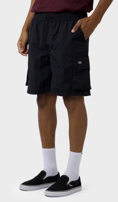 Dickies Barton Springs Swim Shorts