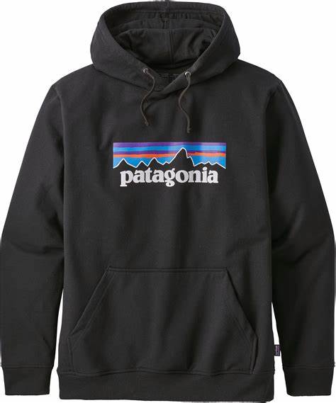 Patagonia Logo Uprisal Hoody Black