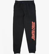 Santa Cruz Depth Stripe Fleece Pant