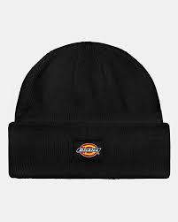 Dickies Fargo Fishermans Beanie